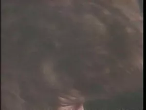 Japanische Liebhaber ...